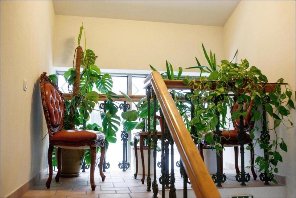 Apartment Senamiescio Inkaras Kłajpeda Zewnętrze zdjęcie